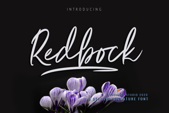 Finding the Right Voice Through Type: How Redbock Shapes Creative Projects